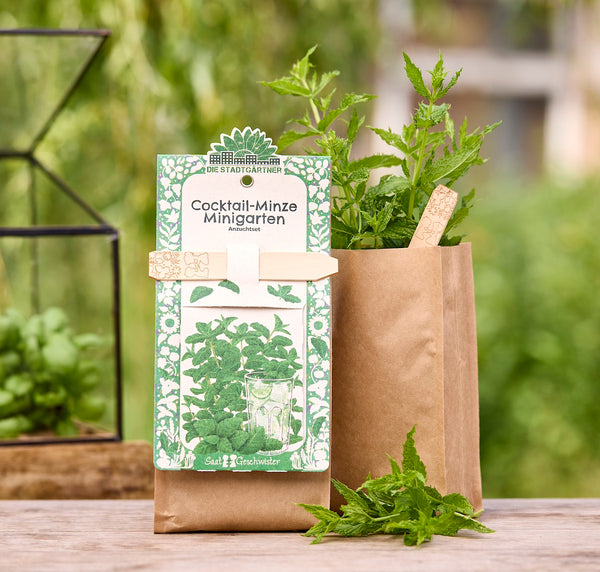Kit de culture de menthe cocktail dans un sac en papier brun avec une plante de menthe fraîche et un panneau en bois, avec un jardin vert en arrière-plan.