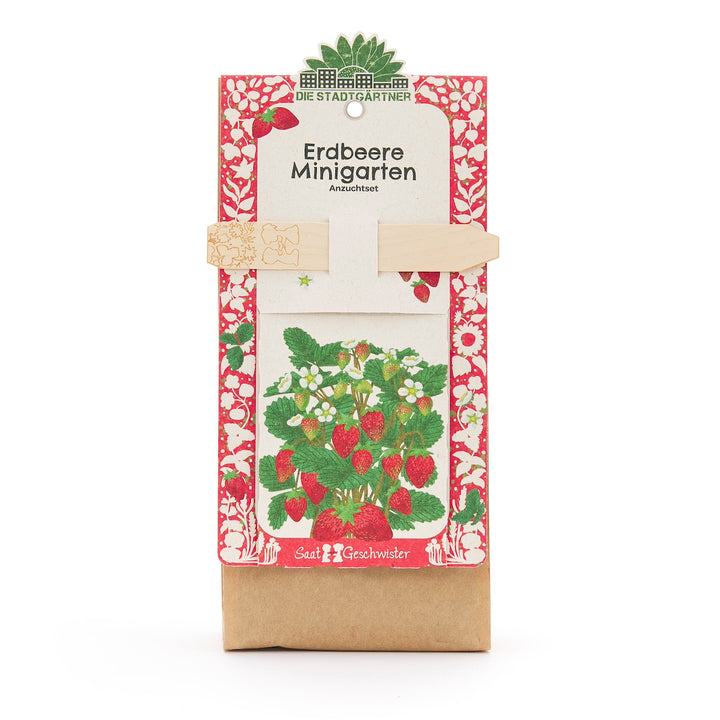 Kit de culture de mini-jardin de fraises de Die Stadtgärtner avec un emballage coloré et une image d'un plant de fraises.