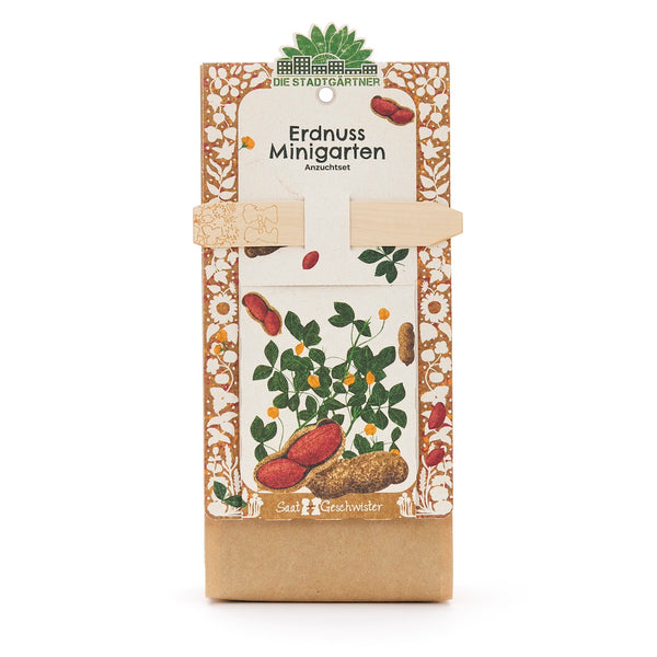 Kit de culture de mini-jardin d'arachides avec emballage décoratif et illustration d'une plante d'arachides.