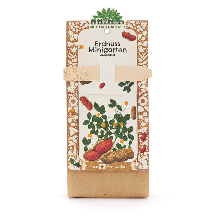Kit de culture de mini-jardin d'arachides avec emballage décoratif et illustration d'une plante d'arachides.