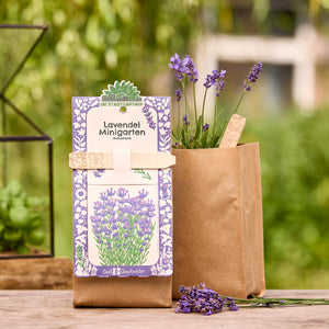 Kit de culture pour un mini jardin de lavande dans un sac en papier brun, avec des branches de lavande en fleurs en arrière-plan.