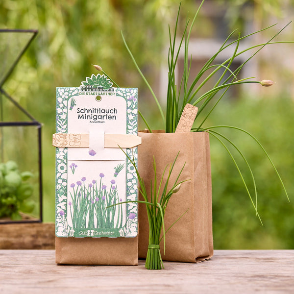 Deux sacs en papier brun contenant des plants de ciboulette et un kit de culture étiqueté « Chive Mini Garden » sur une table en bois à la campagne.