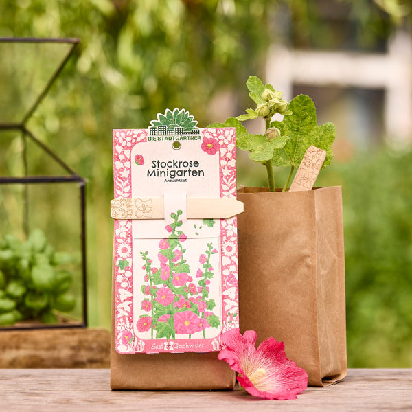 Un kit de culture « Mini Jardin de Roses Trémières » dans un sac en papier brun, à côté d'un jeune plant de rose trémière et d'une fleur rose, avec des plantes vertes en arrière-plan.