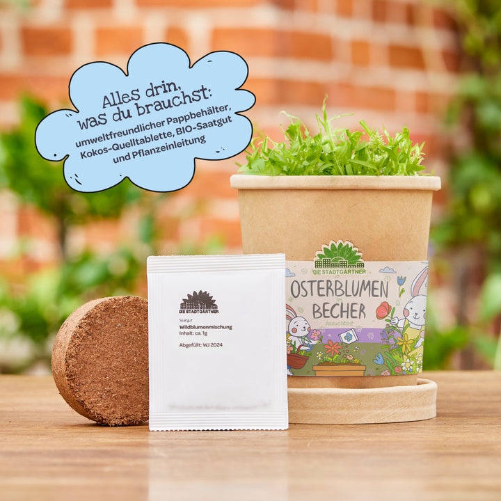 Tasse de fleurs de Pâques écologique avec des plantes vertes, une tablette d'expansion de noix de coco et des graines biologiques sur un fond de jardin flou ; à côté d'un nuage bleu avec des informations sur le contenu de l'ensemble.