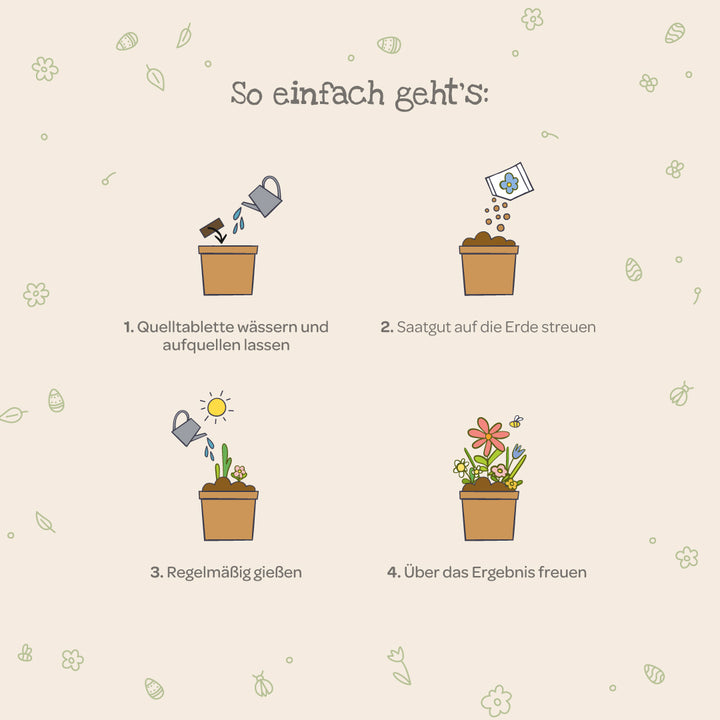 Instructions de plantation graphiques : 1. Arroser la pastille, 2. Saupoudrer les graines, 3. Arroser régulièrement, 4. Profiter des plantes fleuries.