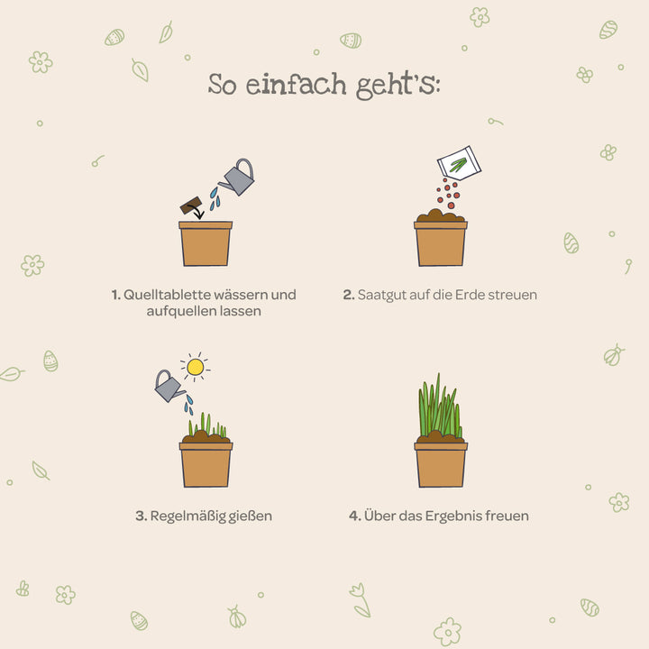 Graphique montrant quatre étapes pour la culture des plantes : arrosez le comprimé de semis, dispersez les graines, arrosez régulièrement et profitez des résultats.