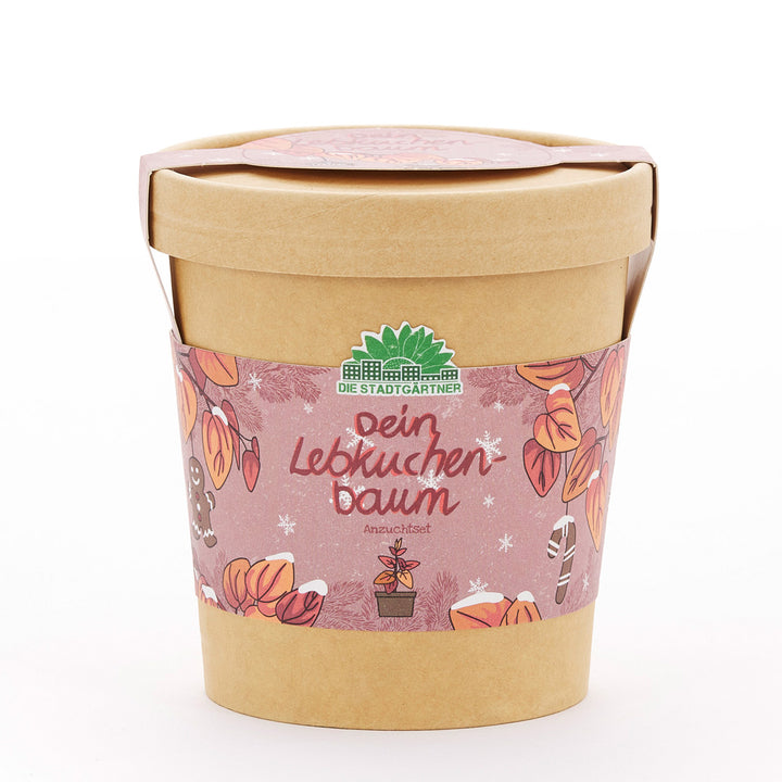 Ensemble de plantation dans une tasse marron avec une étiquette décorée sur le thème de Noël, l'inscription « Votre arbre en pain d'épices » et le logo « Les jardiniers de la ville ».