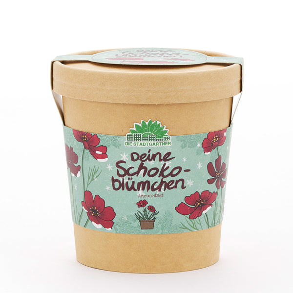 Gobelet en papier avec une banderole représentant « Votre kit de culture de fleurs en chocolat » et des fleurs rouges.