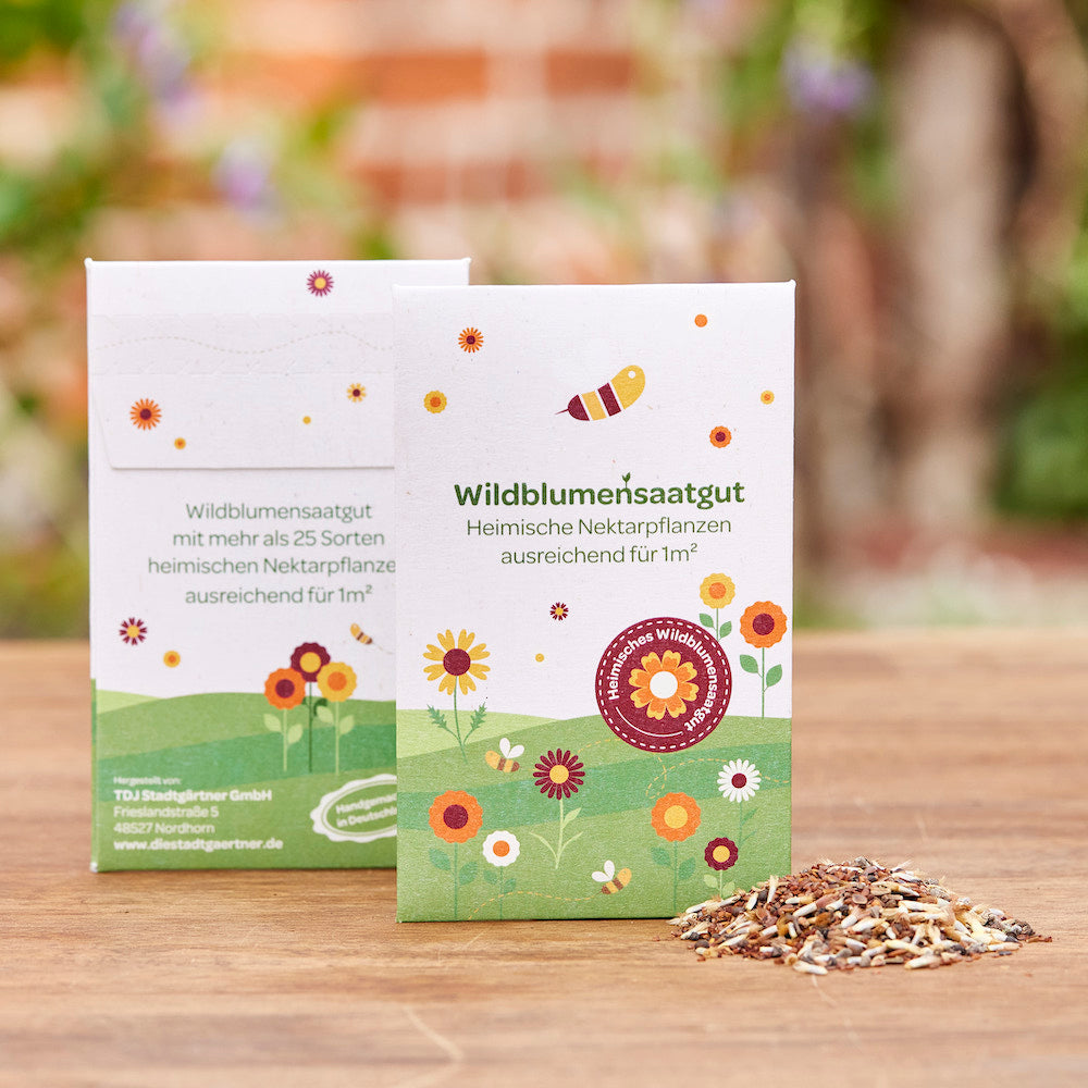 Graines de fleurs sauvages dans une enveloppe imprimée comme matériel promotionnel