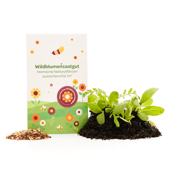 Sachet de graines de fleurs sauvages, à côté un petit tas de terreau avec de jeunes plantes et des graines en vrac.