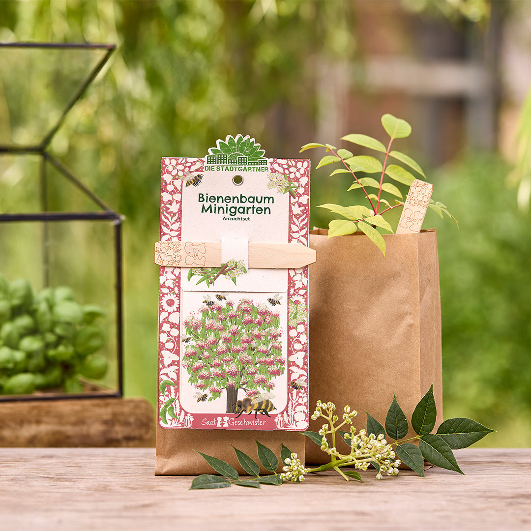 Kit de culture d'arbres à abeilles