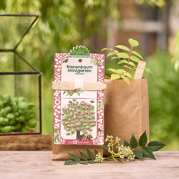 Kit de culture d'arbres à abeilles