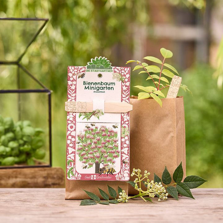 Kit de culture d'arbres à abeilles