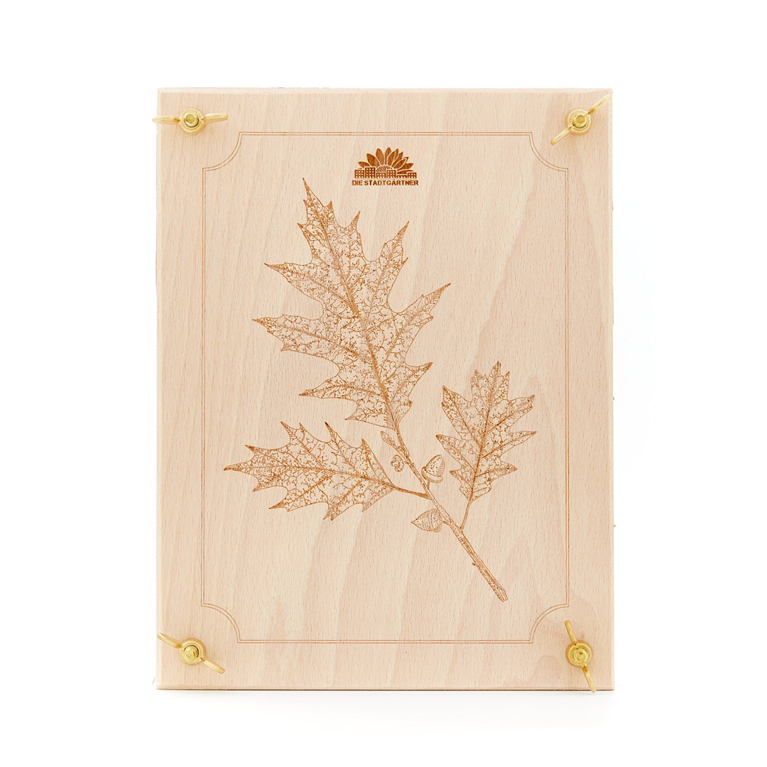 Belle presse à feuilles avec gravure laser