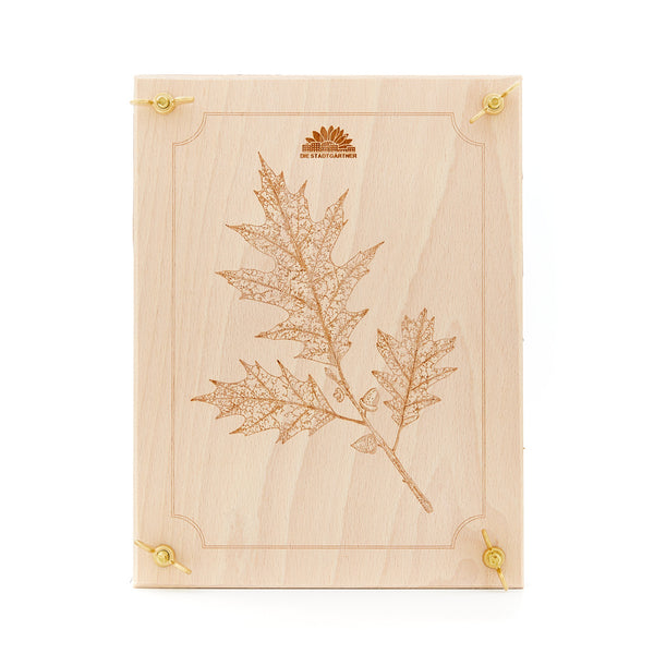 Belle presse à feuilles avec gravure laser