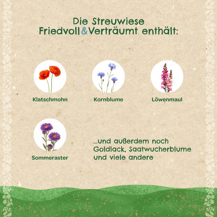 Description du contenu d'un mélange de fleurs en allemand avec des illustrations de coquelicots, de bleuets, de mufliers et d'asters d'été, ainsi que du texte sur d'autres fleurs incluses telles que la giroflée et le souci commun.