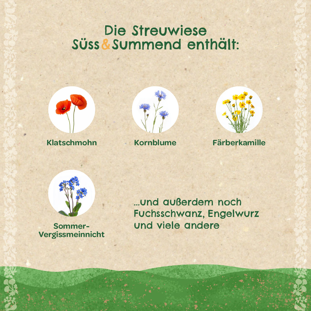 Infographie en allemand avec des images de coquelicots, de bleuets, de camomille des teinturiers et de myosotis d'été ainsi qu'un texte sur d'autres plantes trouvées dans la prairie.