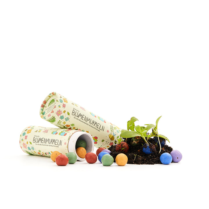 Deux boîtes de conserve étiquetées « Flower Marbles », des bombes de graines colorées et de la terre à partir de laquelle les plantes poussent.