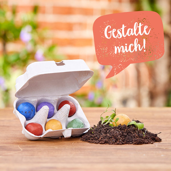 Une boîte à œufs ouverte avec des bombes de graines colorées et un monticule de terre avec des semis sur une table en bois ; une bulle de dialogue avec le texte « Concevez-moi ! »