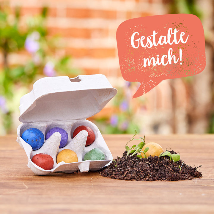 Une boîte à œufs ouverte avec des bombes de graines colorées et un monticule de terre avec des semis sur une table en bois ; une bulle de dialogue avec le texte « Concevez-moi ! »