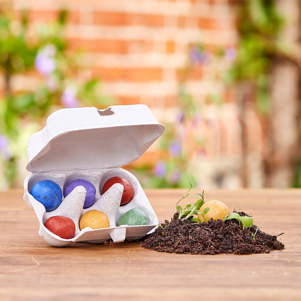 Une boîte à œufs ouverte remplie de bombes de graines colorées se trouve sur une table en bois à côté d'un petit tas de terre d'où poussent des plantes.