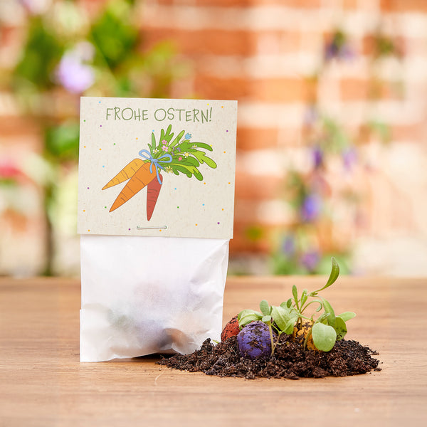 Cadeau de Pâques avec une carte "Joyeuses Pâques !", à côté de la terre avec des petites plantes et des boules de graines colorées sur une table en bois.