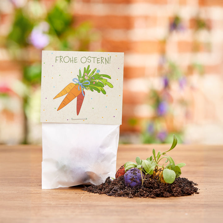 Cadeau de Pâques avec une carte "Joyeuses Pâques !", à côté de la terre avec des petites plantes et des boules de graines colorées sur une table en bois.