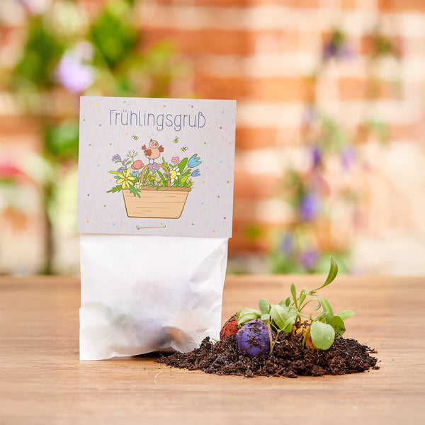Un petit sac étiqueté « Salutations de printemps » se trouve sur une table en bois, avec de la terre, des bombes de graines colorées et de jeunes plantes à côté.