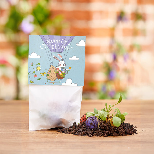 Un petit sac étiqueté « Salutations florales de Pâques », à côté de lui de la terre avec des bombes de graines colorées et de jeunes plantes.