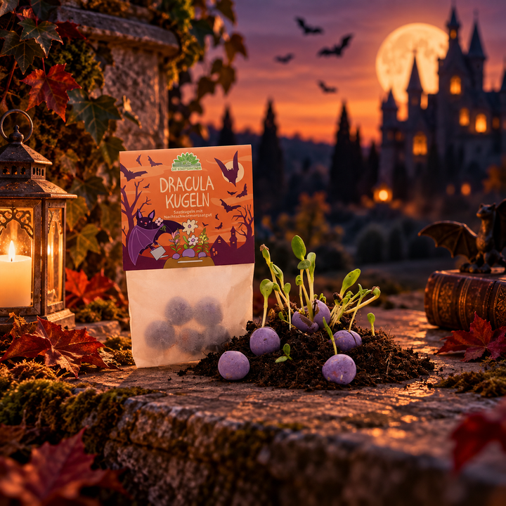5 billes de fleurs dans un sachet "Balles Dracula"