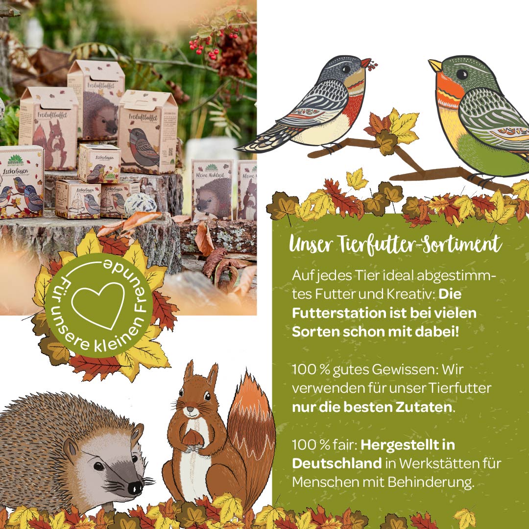 Affiche publicitaire pour aliments pour animaux de compagnie avec des oiseaux et des écureuils illustrés, des emballages de produits et des éléments automnaux.