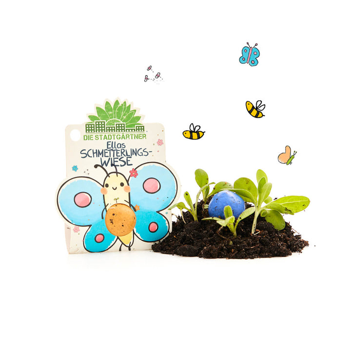 Un kit de graines coloré appelé « Ella's Butterfly Meadow » comprenant une figurine de papillon dessinée, de la terre, des semis de plantes et une bombe à graines bleue entourée d'insectes et de papillons dessinés.