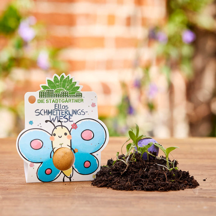 Un paquet avec une figure de papillon dessinée et l'inscription « The City Gardeners Ella's Butterfly Meadow » se trouve à côté de la terre avec de petits semis de plantes.