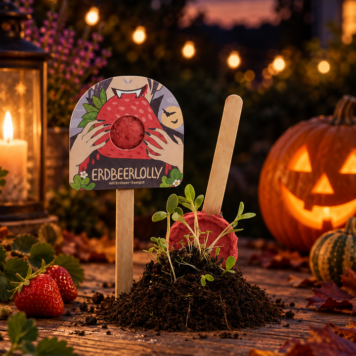 Halloween - sucette fraise - fraise