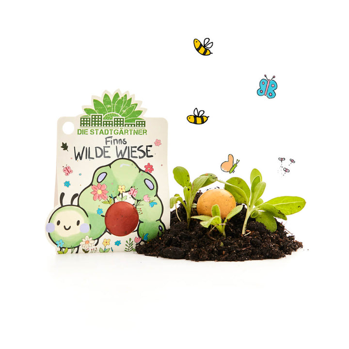Emballage de « Finn’s Wild Meadow » des jardiniers de la ville avec une bombe de graines, à côté de la terre avec des semis, des abeilles et des papillons illustrés.
