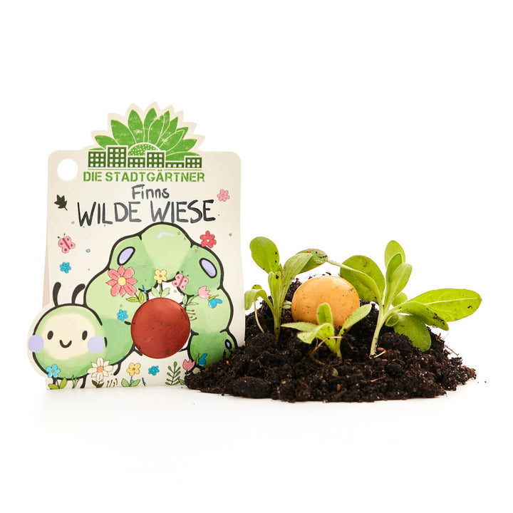 Emballage avec l'inscription « Finn's Wild Meadow », une bombe de graines et de jeunes plants d'herbe dans un sol frais.