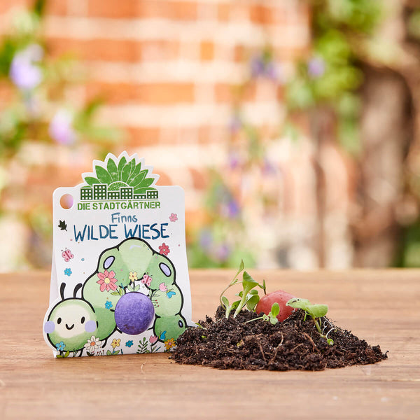 Un paquet coloré avec l'inscription « Finn's Wild Meadow » et une bombe de graines violette à côté, avec de la terre et des petites plantes au premier plan.