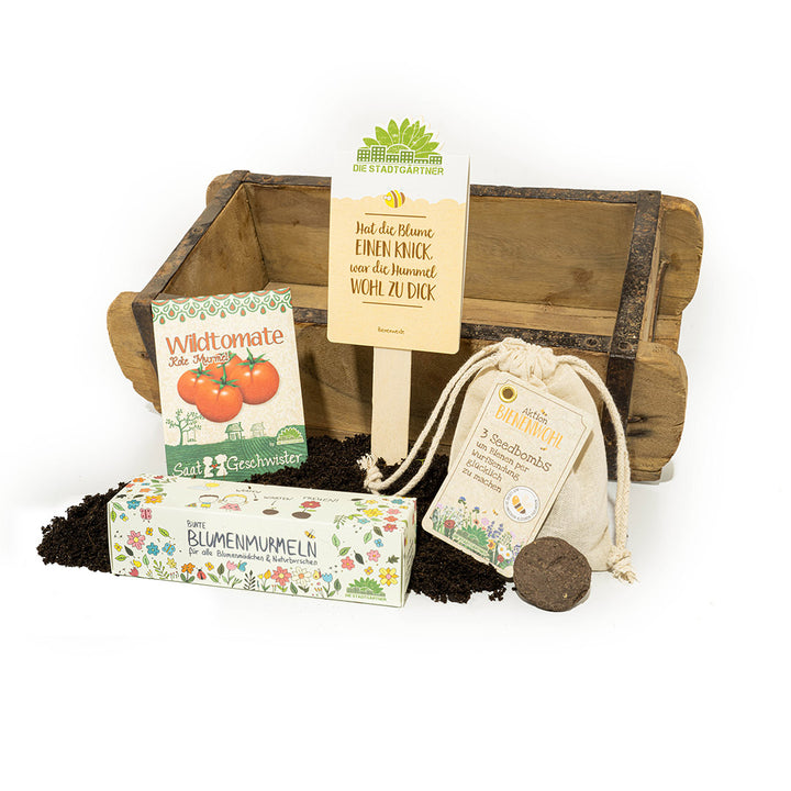 Kit horticole avec coffret en bois, sachets de graines, terreau et pastilles de graines sur fond blanc.