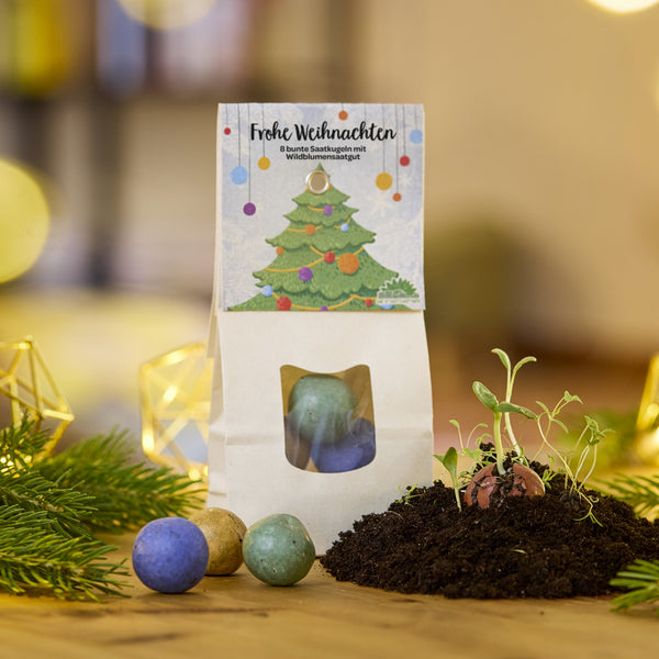 Sac en papier avec l'inscription « Joyeux Noël », boules de graines colorées et jeunes plants sur terre, décorés de branches de sapin et de lumières.