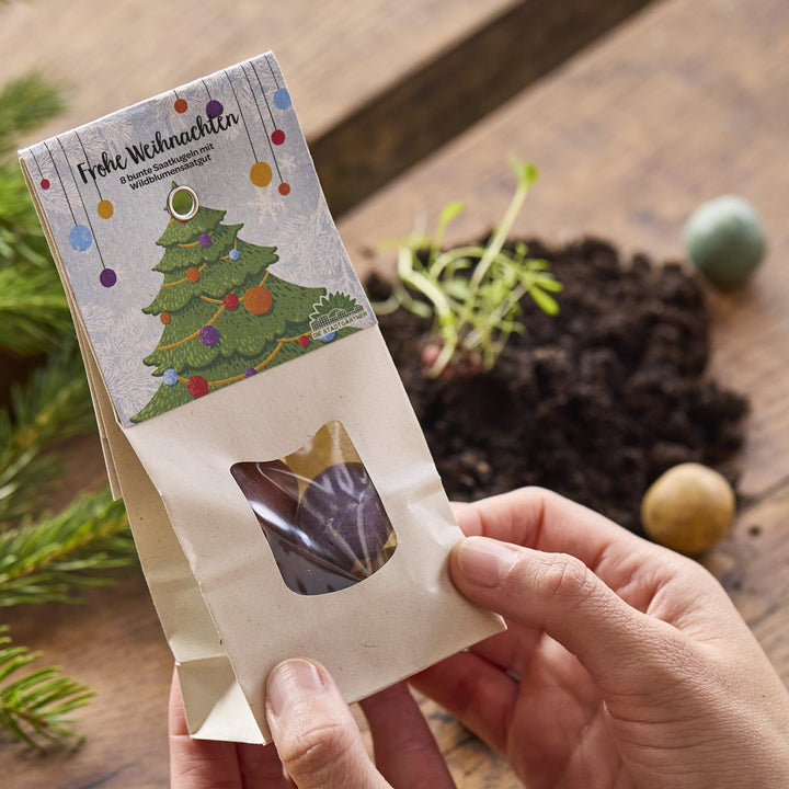 Personne tenant un sac cadeau avec un motif de Noël et l'inscription « Joyeux Noël », terre et semis en arrière-plan.