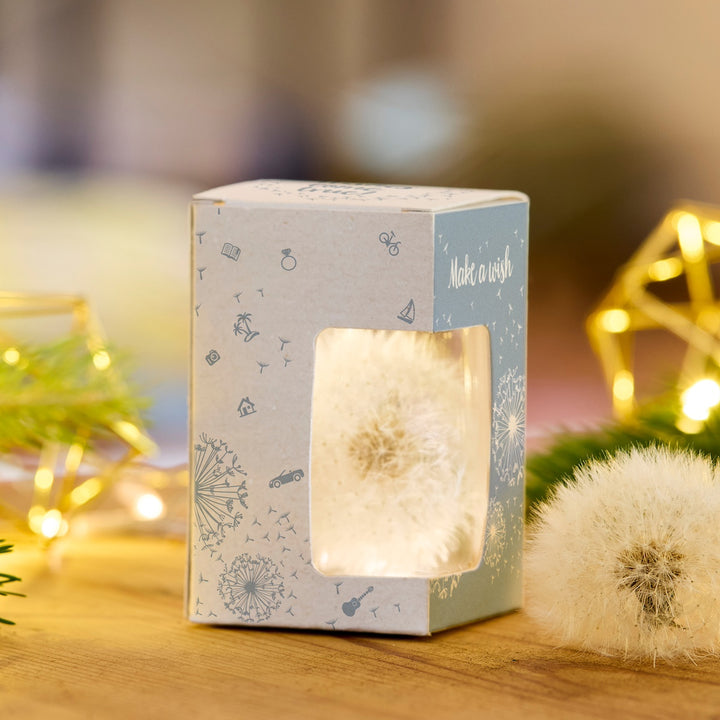 Pissenlit dans une boîte cadeau décorative avec l'inscription « Make a wish » sur une table en bois, avec des lumières et des décorations en arrière-plan.