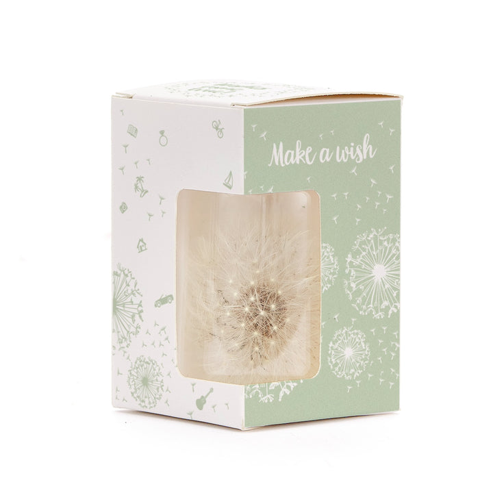Coffret cadeau avec un pissenlit et l'inscription "Make a wish".