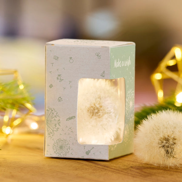 Un pissenlit dans une boîte cadeau avec une fenêtre de visualisation et l'inscription « Make a wish » sur une surface en bois, avec des décorations lumineuses en arrière-plan.
