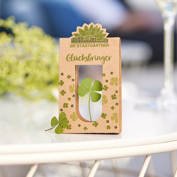 Feuille de trèfle sur la table