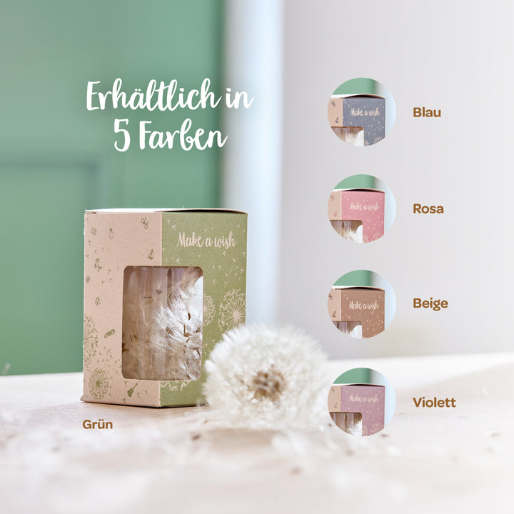 Boîte en carton avec un pissenlit et l'inscription "Make a wish", disponible en cinq couleurs : bleu, rose, beige, vert et violet.