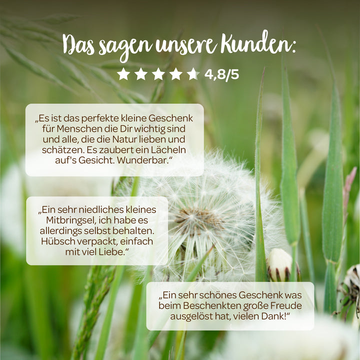 Avis clients sur un cadeau nature, noté 4,8 sur 5 étoiles, sur fond de pissenlits et d'herbe verte.