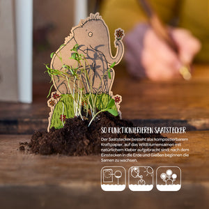 Un bouchon de graines en carton avec un motif de mammouth repose dans le sol, de petits semis de fleurs sauvages y poussent ; à l'arrière-plan, une personne écrit.