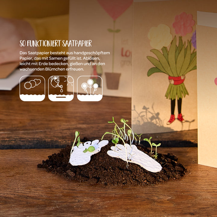 Papier ensemencé fait main avec des plantes en germination sur terre, avec des cartes illustrées en couleurs en arrière-plan.
