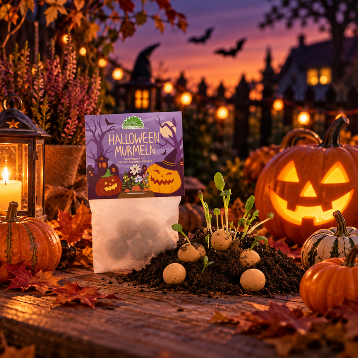 5 billes de fleurs dans un sachet "Billes Halloween"