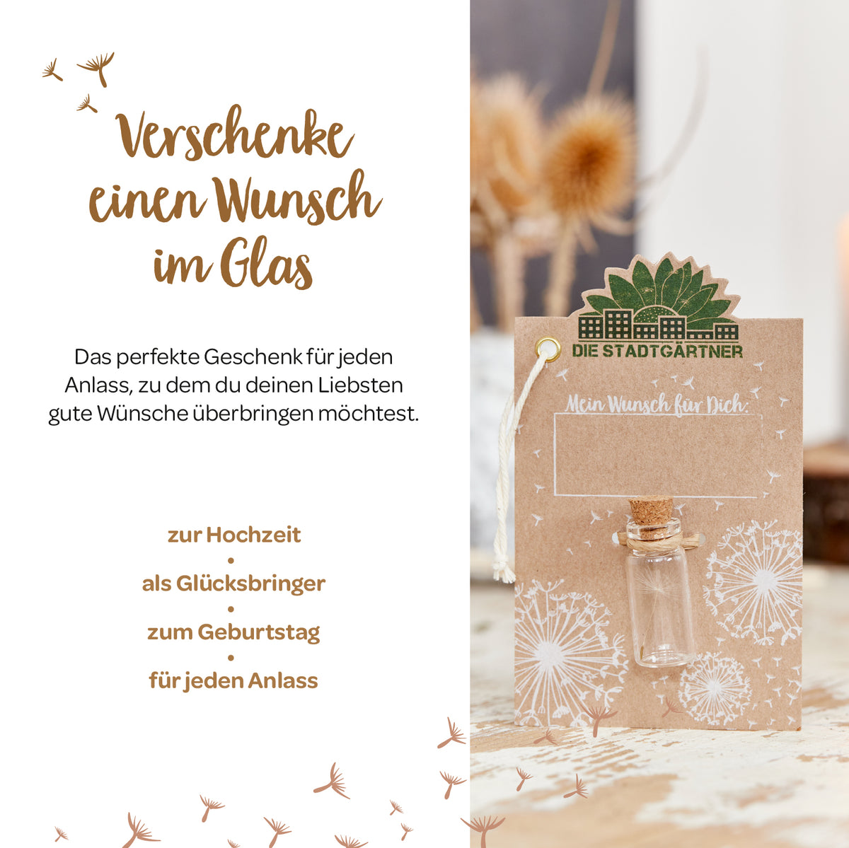 Image publicitaire pour un concept cadeau « Wish in a Jar » avec du texte, un verre sur une carte et des fleurs séchées en arrière-plan.